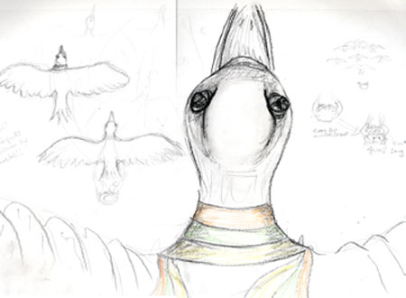 seagull3