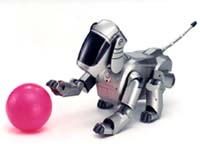 aibo with ball