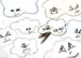 clouds2
