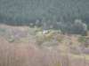 Maulin Hike Picture # 008.jpg