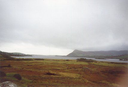 A nice view of the lake.