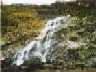 Powerscourt Waterfall