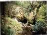 Powerscourt Waterfall