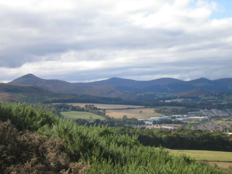 Sugarloaf Mtn. in background