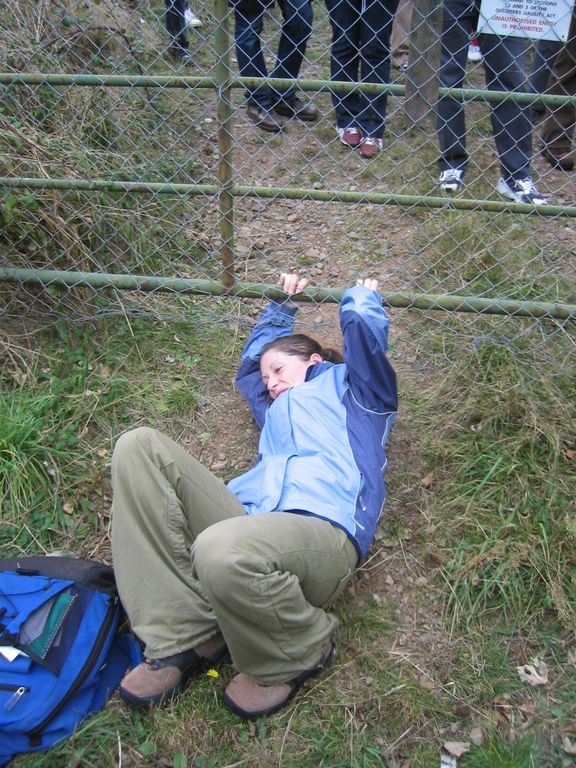 Limbo Niamh!!