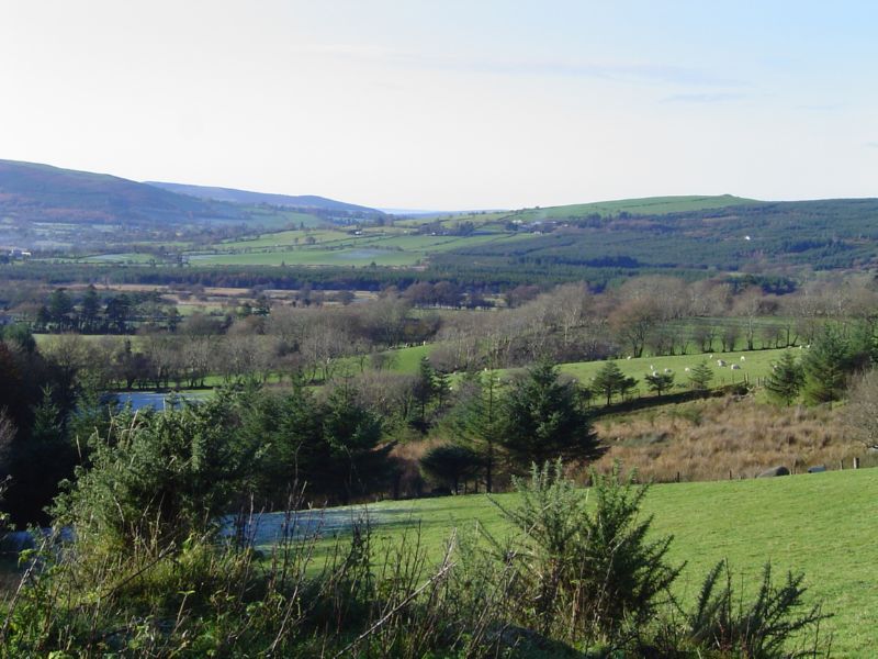 DSC02766