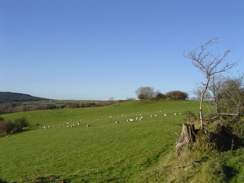 DSC02767