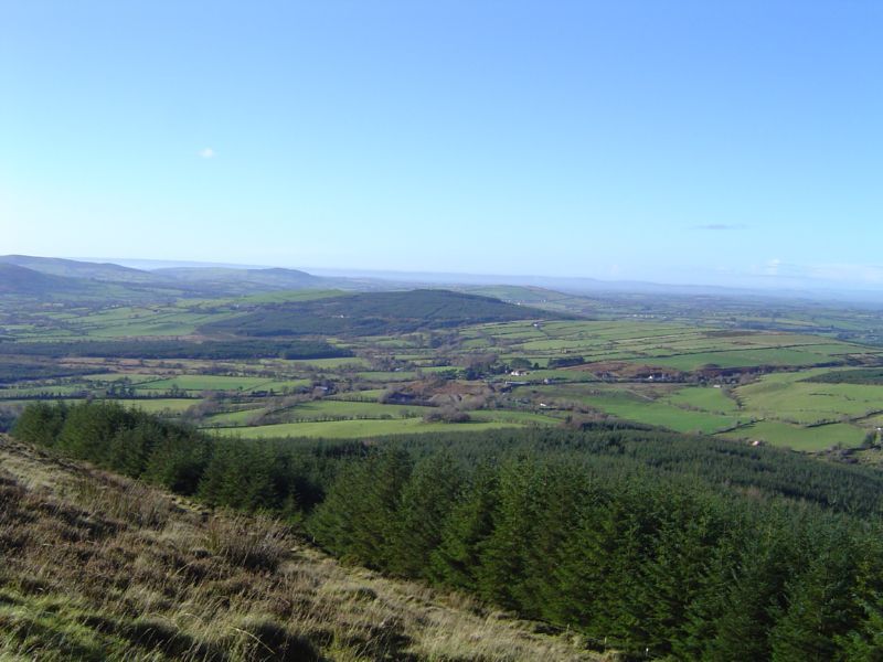 DSC02782