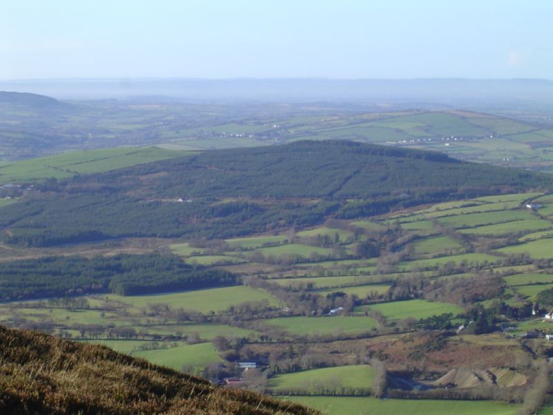 DSC02798