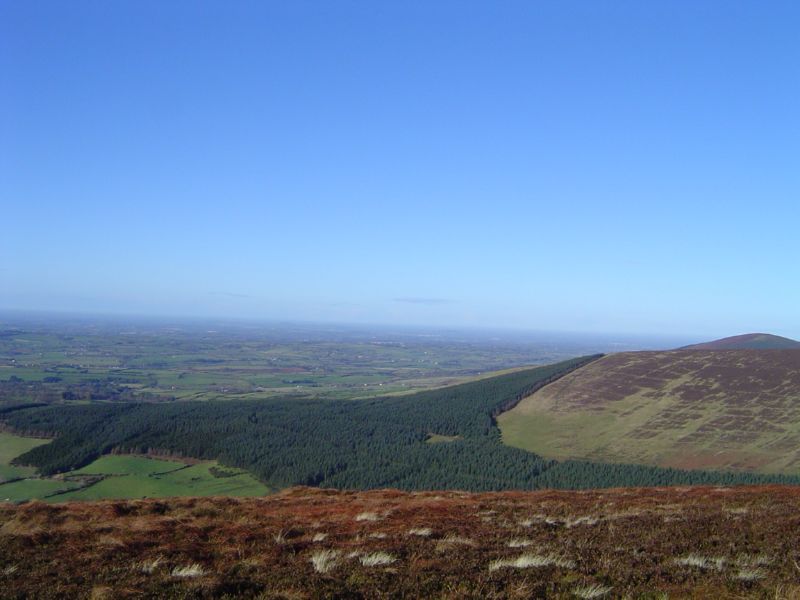 DSC02809