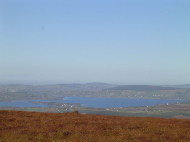 DSC02833