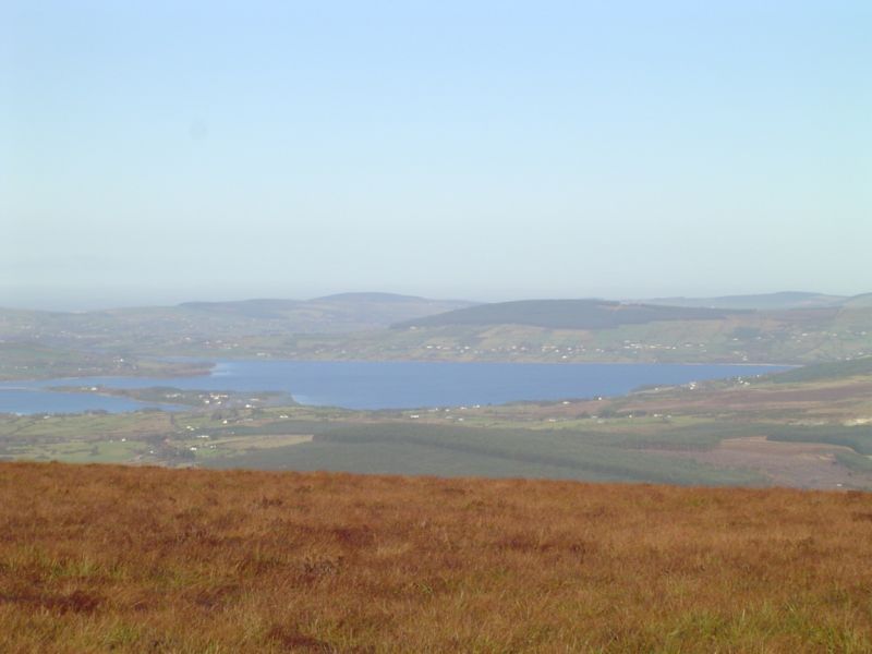 DSC02834