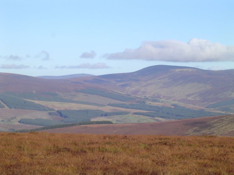 DSC02838