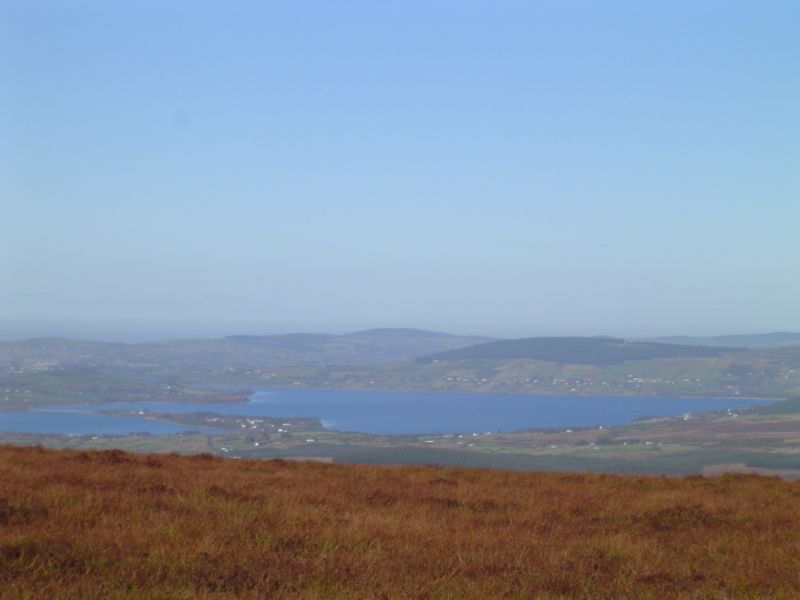 DSC02839