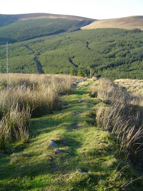 DSC02866