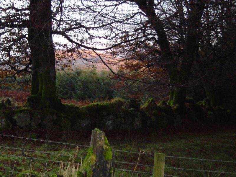 DSC02898