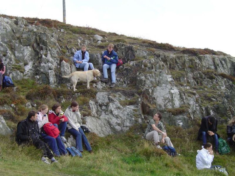 Dog Climbing