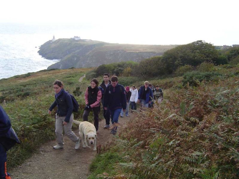 Follow the Dog