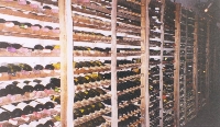 Wines Of The World