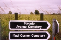 Flanders Fields