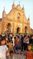 Palm Sunday Real Palms