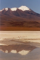 White Lake