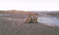Alejandro+ Melmoth