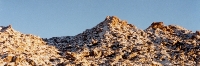 Desert Frost W T F