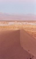 Dune Walkers