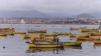 Fishermen