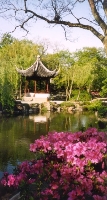 Humble Garden