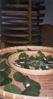 Making Silk