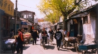 Street Life