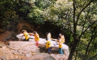 Yellow Mt Impossible