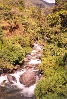Chirripo Water