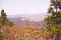 Walking In The Hills
