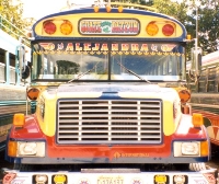 Get On The Bus