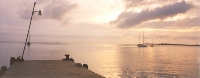 Dock Of The Bay