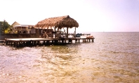 Mitchs Caribbean View
