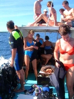 Ready To Dive