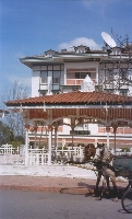 Horse And House