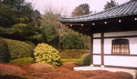 Temple Grounds