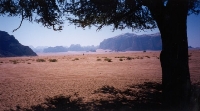 Lawerence Spring