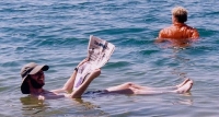Reading The Paper