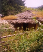 Country House