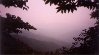 Jirisan View