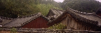 Rooftops