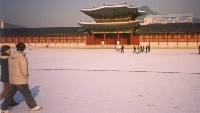 Seoul Palace
