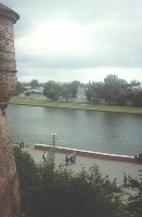 Window