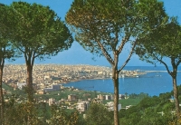 Hills Of Beirut